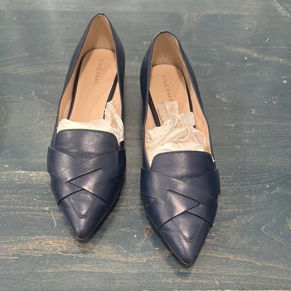 Cole Haan Blue Leather Flats Camila Skimmer 9.5